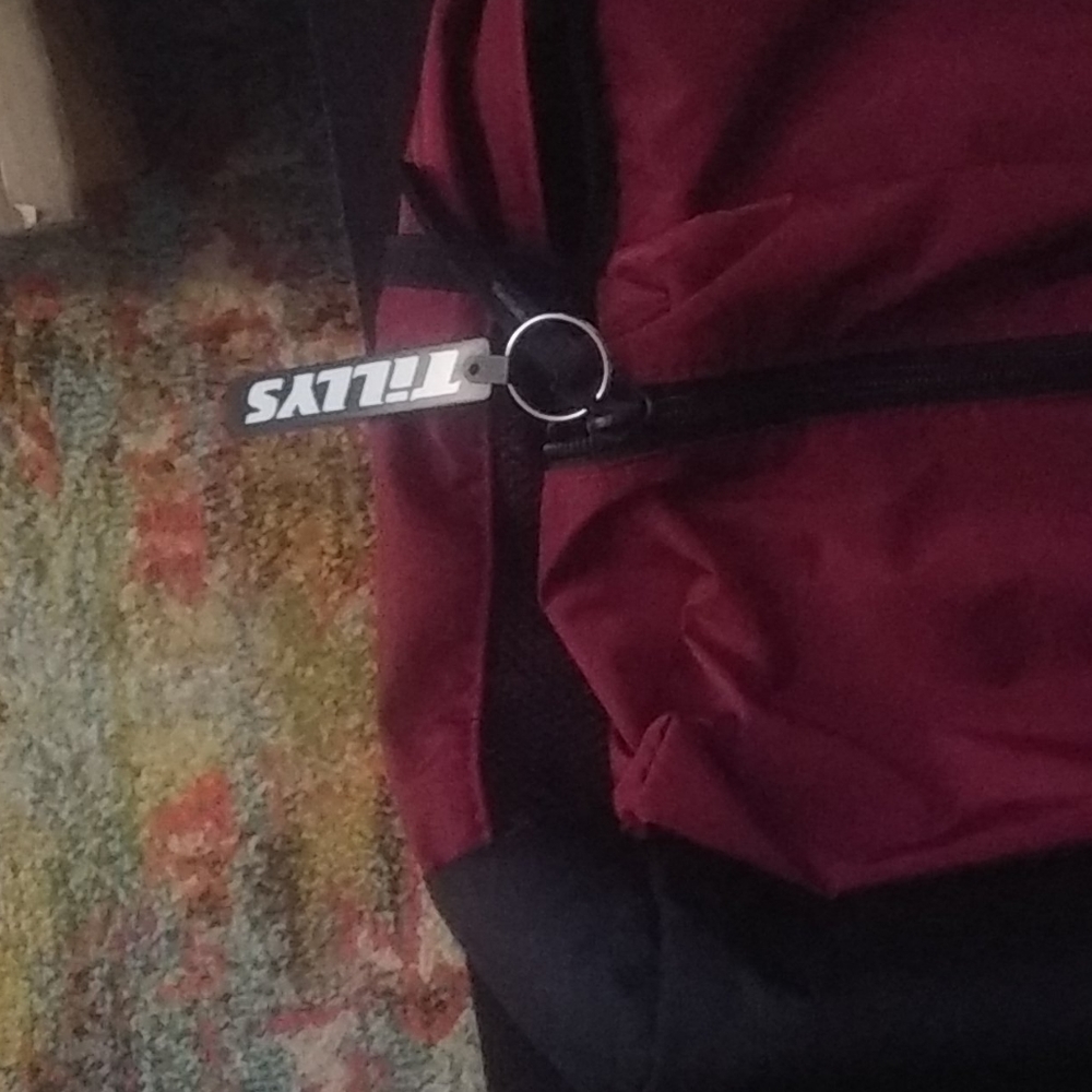 Backpack - Picture 2 of 8